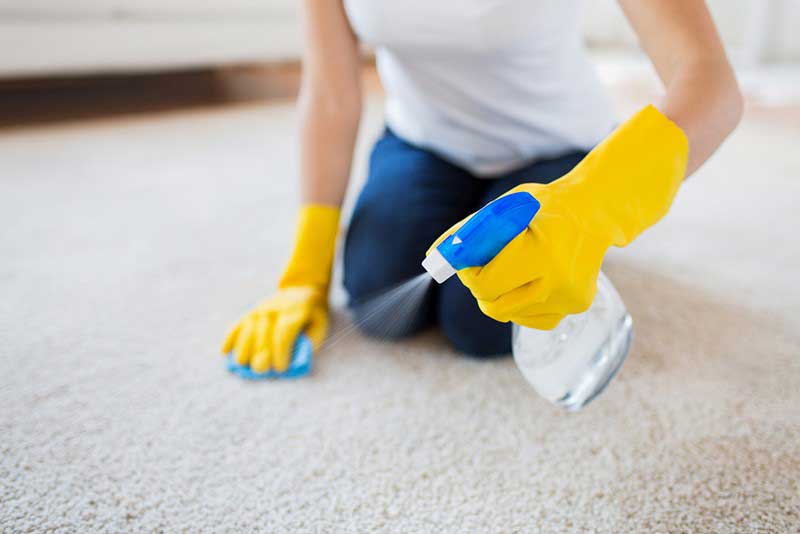 Wash the carpet with carpet shampoo1 شستشوی فرش با شامپو فرش - مبلشویی کرج